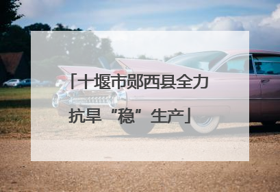 十堰市郧西县全力抗旱“稳”生产