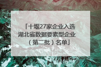 十堰27家企业入选湖北省数据要素型企业（第二批）名单