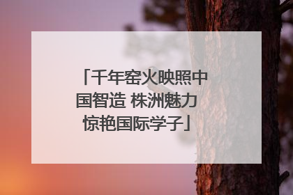千年窑火映照中国智造 株洲魅力惊艳国际学子