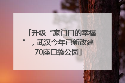 升级“家门口的幸福”，武汉今年已新改建70座口袋公园