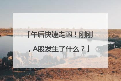 午后快速走弱！刚刚，A股发生了什么？