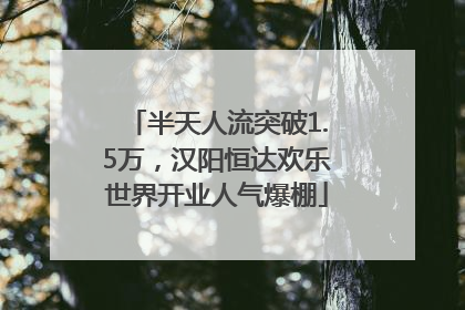 半天人流突破1.5万，汉阳恒达欢乐世界开业人气爆棚