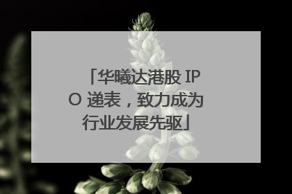 华曦达港股 IPO 递表，致力成为行业发展先驱