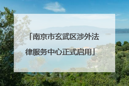 南京市玄武区涉外法律服务中心正式启用