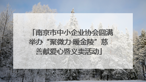 南京市中小企业协会圆满举办“聚微力·暖金陵”慈善献爱心暨义卖活动