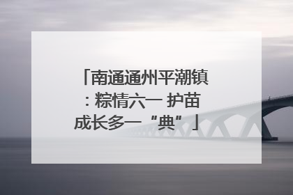 南通通州平潮镇：粽情六一 护苗成长多一“典”