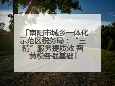 南阳市城乡一体化示范区税务局：“三精”服务提质效 智慧税务强基础