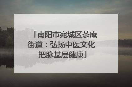 南阳市宛城区茶庵街道：弘扬中医文化 把脉基层健康