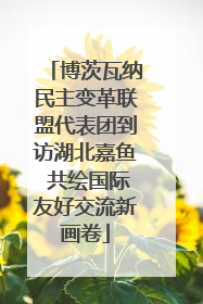 博茨瓦纳民主变革联盟代表团到访湖北嘉鱼 共绘国际友好交流新画卷