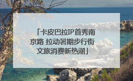 卡皮巴拉IP首秀南京路 拉动暑期步行街文旅消费新热潮