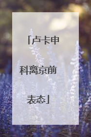 卢卡申科离京前表态