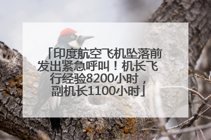 印度航空飞机坠落前发出紧急呼叫！机长飞行经验8200小时，副机长1100小时