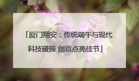 厦门翔安：传统端午与现代科技碰撞 创意点亮佳节