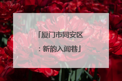 厦门市同安区：新韵入闾巷