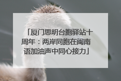厦门思明台胞驿站十周年：两岸同胞在闽南语加油声中同心接力