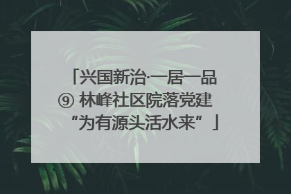 兴国新治·一居一品⑨ 林峰社区院落党建“为有源头活水来”