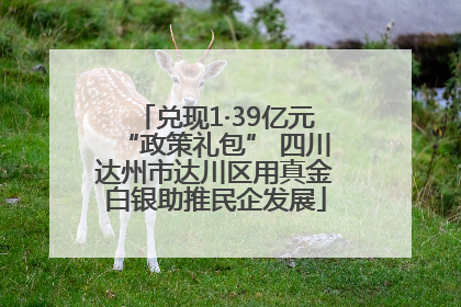 兑现1·39亿元“政策礼包” 四川达州市达川区用真金白银助推民企发展