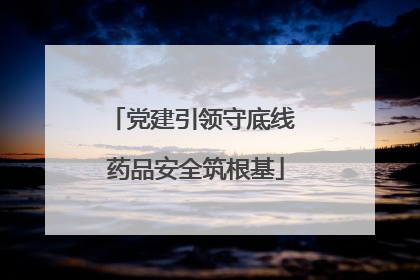 党建引领守底线 药品安全筑根基