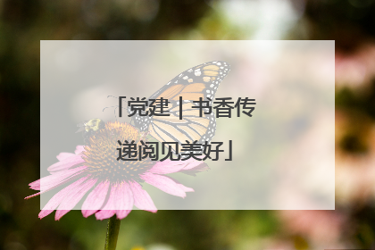 党建｜书香传递阅见美好