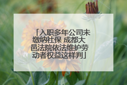 入职多年公司未缴纳社保 成都大邑法院依法维护劳动者权益这样判