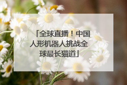 全球直播！中国人形机器人挑战全球最长猫道