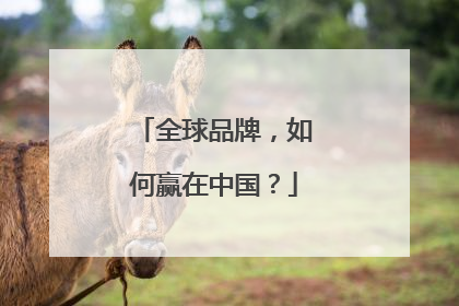 全球品牌，如何赢在中国？