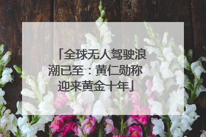 全球无人驾驶浪潮已至：黄仁勋称迎来黄金十年