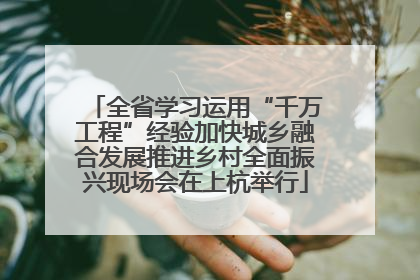 全省学习运用“千万工程”经验加快城乡融合发展推进乡村全面振兴现场会在上杭举行