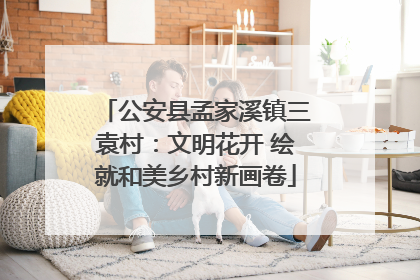 公安县孟家溪镇三袁村：文明花开 绘就和美乡村新画卷