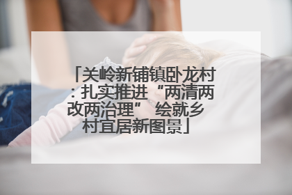 关岭新铺镇卧龙村：扎实推进“两清两改两治理” 绘就乡村宜居新图景