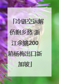 冷链空运解侨胞乡愁 浙江余姚200箱杨梅出口新加坡