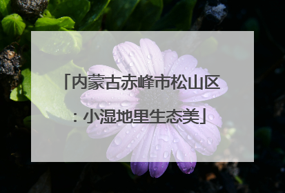 内蒙古赤峰市松山区：小湿地里生态美