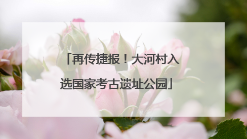 再传捷报！大河村入选国家考古遗址公园