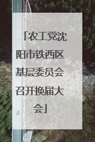 农工党沈阳市铁西区基层委员会召开换届大会