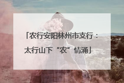 农行安阳林州市支行：太行山下“农”情涌