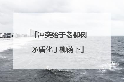冲突始于老柳树 矛盾化于柳荫下
