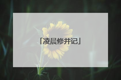 凌晨修井记