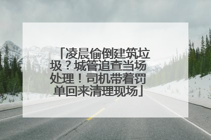 凌晨偷倒建筑垃圾？城管追查当场处理！司机带着罚单回来清理现场