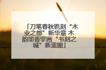 刀笔春秋镌刻“木业之都”新华章 木韵墨香擘画“书刻之城”新蓝图