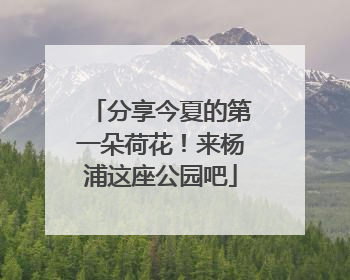 分享今夏的第一朵荷花！来杨浦这座公园吧