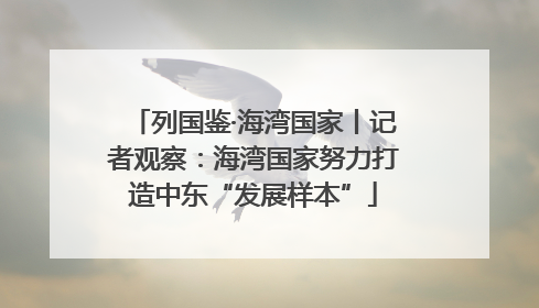 列国鉴·海湾国家丨记者观察：海湾国家努力打造中东“发展样本”