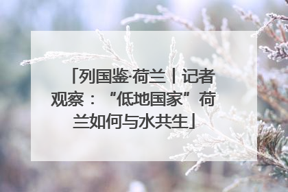列国鉴·荷兰丨记者观察：“低地国家”荷兰如何与水共生
