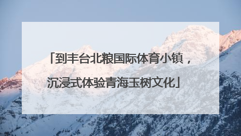 到丰台北粮国际体育小镇，沉浸式体验青海玉树文化