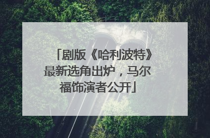 剧版《哈利波特》最新选角出炉，马尔福饰演者公开