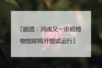 剧透：河南又一重磅博物馆即将开馆试运行
