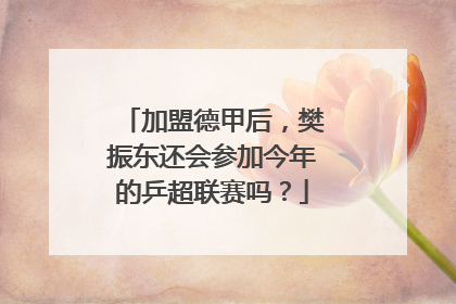 加盟德甲后，樊振东还会参加今年的乒超联赛吗？