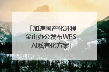 加速国产化进程 金山办公发布WPS AI私有化方案