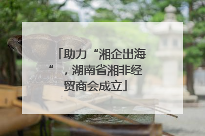 助力“湘企出海”，湖南省湘非经贸商会成立