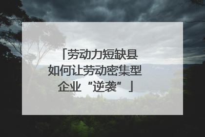劳动力短缺县 如何让劳动密集型企业“逆袭”