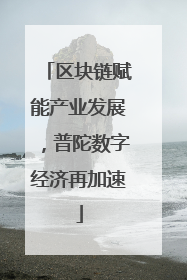 区块链赋能产业发展，普陀数字经济再加速